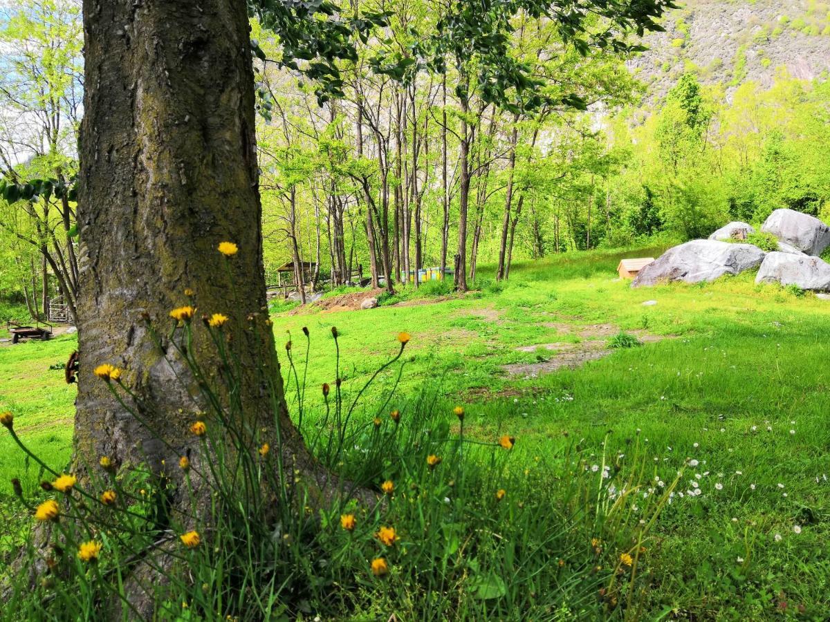 Agriturismo Val Codera Verceia Εξωτερικό φωτογραφία