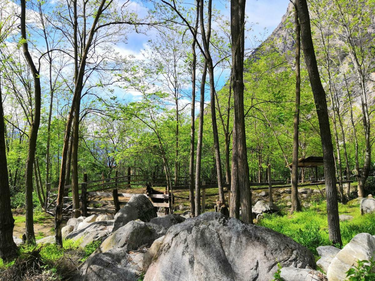 Agriturismo Val Codera Verceia Εξωτερικό φωτογραφία