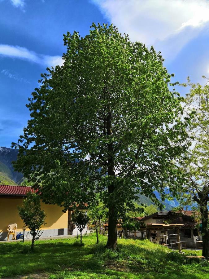Agriturismo Val Codera Verceia Εξωτερικό φωτογραφία
